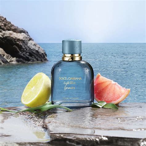 light blue pour homme dolce gabbana|fragrantica dolce gabbana light blue.